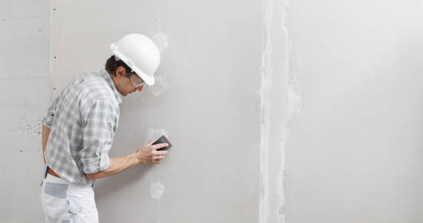 Best Wallpaper Removal and Painting  in Fitchburg, WI